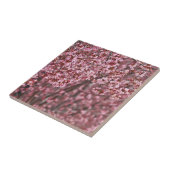 Lagen van roze Japanse Cherry Blossom Tile Tegeltje (Zijkant)