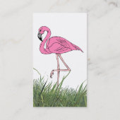LAGEN VLAMINGO IN TALL GRASS ~ VISITEKAARTJES! VISITEKAARTJE (Achterkant)