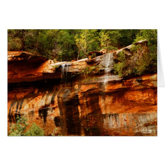 Lager Emerald Pools Zion National Park Utah Blank (Voorkant Horizontaal)