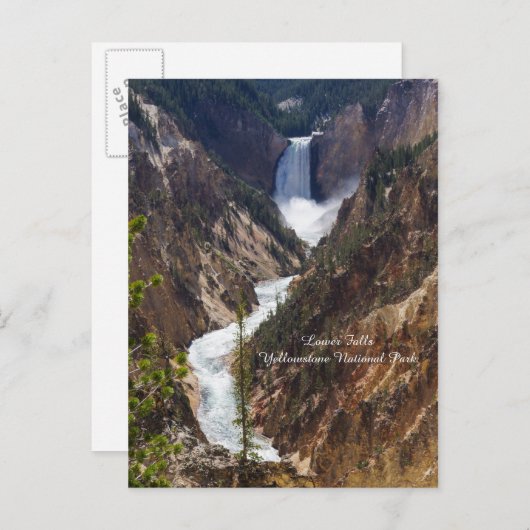 Lager Herfst Yellowstone Briefkaart (Voorkant / Achterkant)