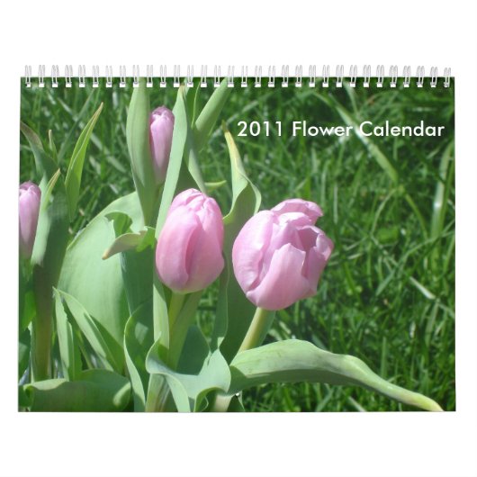 Lager kalender 2011 (Hoes)