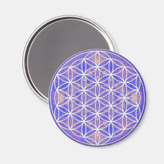 Lager (kleur 3) magneet (Voorkant / Achterkant)