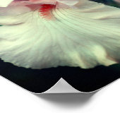 Lager met biet in peach poster (Hoek)