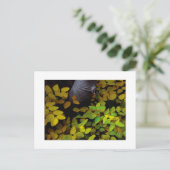 "Lager niveau" Briefkaart (Staand voorkant)