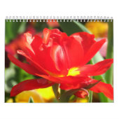 Lager tijdschema 2012 kalender (Hoes)