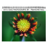 Lager tijdschema 2016 kalender (Hoes)