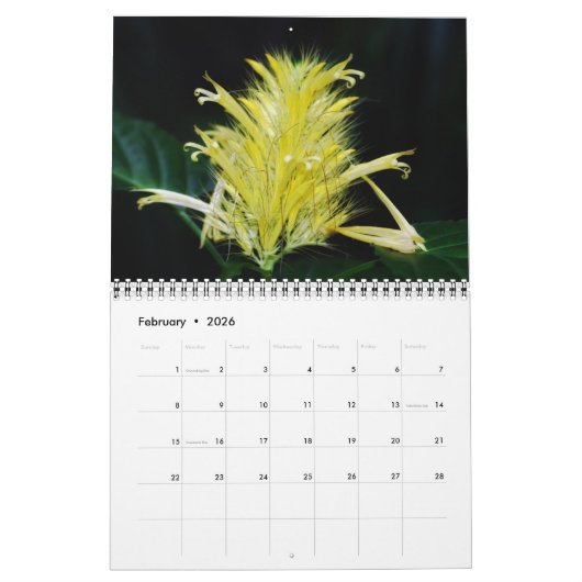 Lager tijdschema 2016 kalender (Feb 2026)