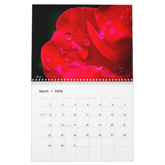 Lager tijdschema 2019 kalender (Mar 2026)