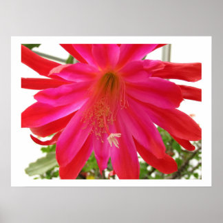 Lager van liefde poster