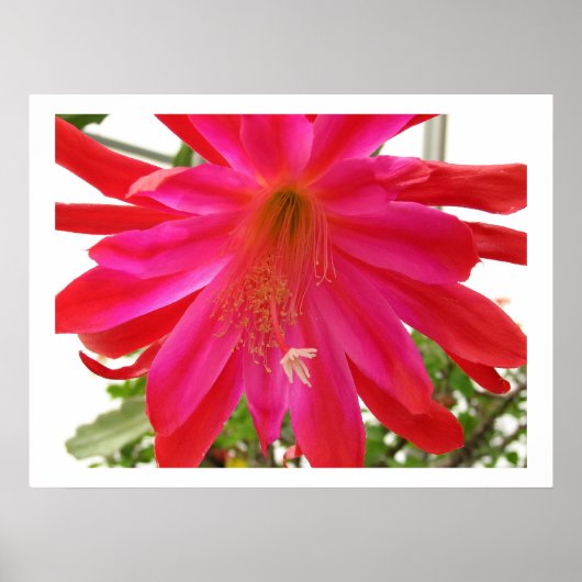 Lager van liefde poster (Voorkant)