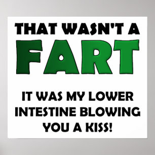 Lagere Darm Kus Grappige Poster