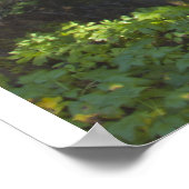 Lagere Herfsten maken HDR-afdruk waterval met scri Poster (Hoek)