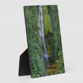 Lagere Herfsten | Nationaal woud van Willamette Fotoplaat (Zijkant)