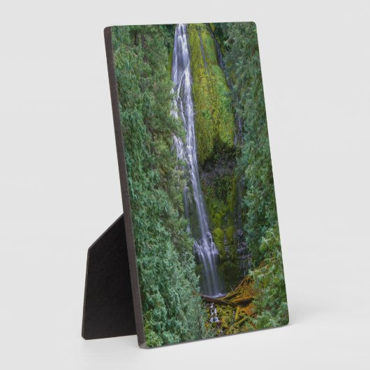 Lagere Herfsten | Nationaal woud van Willamette Fotoplaat (Zijkant)