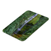 Lagere Herfsten | Nationaal woud van Willamette Magneet (Linkerzijde)