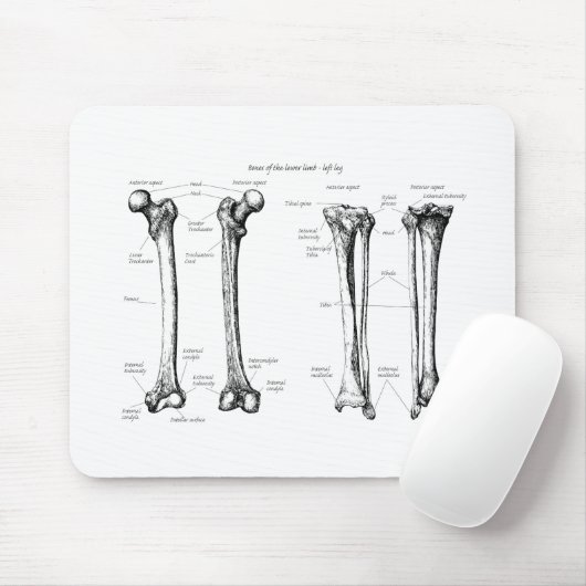 Lagere ledemaat grijs muismat (Met muis)