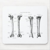 Lagere ledemaat grijs muismat (Voorkant)