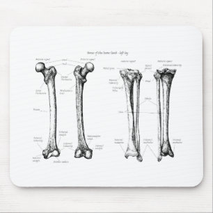 Lagere ledemaat grijs muismat