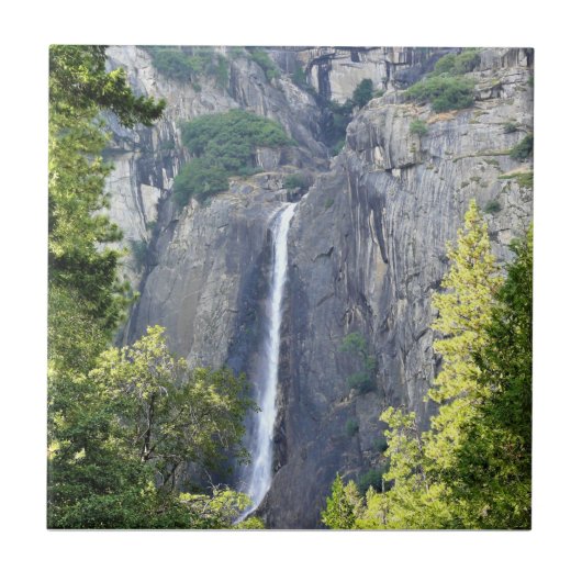 Lagere Yosemite-Herfsten, Yosemite National Park,  Tegeltje (Voorkant)