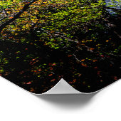 Lagere Yosemite-watervallen in cascade Poster (Hoek)