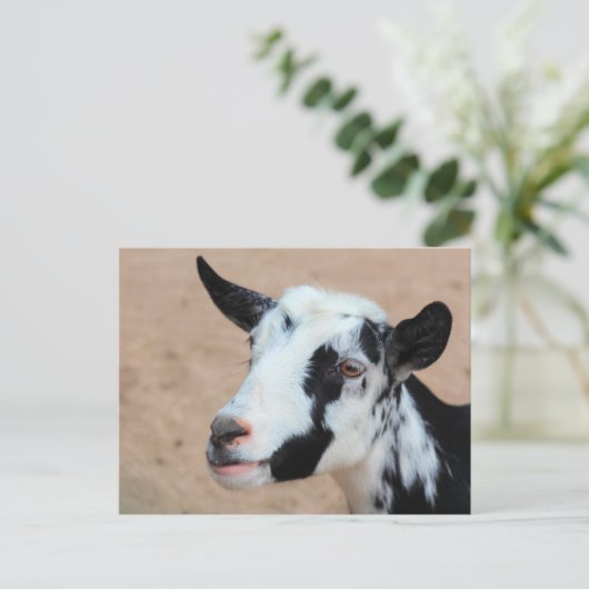 Laggeit Briefkaart (Staand voorkant)