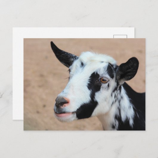 Laggeit Briefkaart (Voorkant / Achterkant)