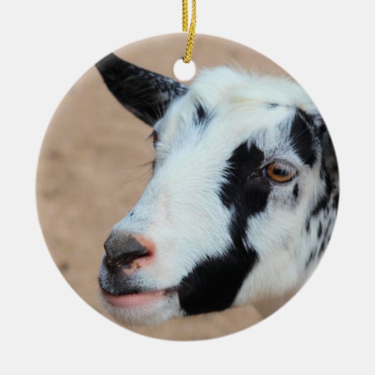 Laggeit Keramisch Ornament (Voorkant)