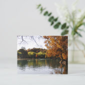 Lago Camecuaro Briefkaart (Staand voorkant)