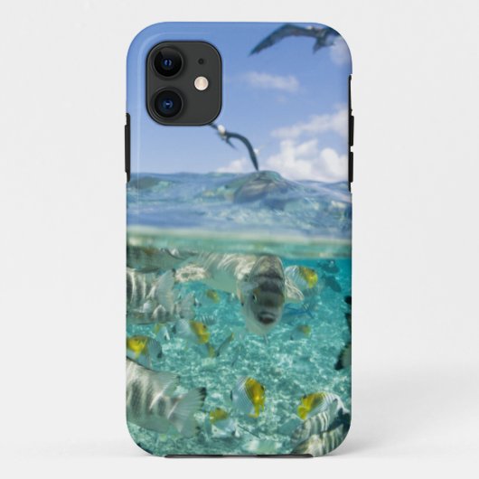 Lagoon safari-reis met Stingrays Case-Mate iPhone Case (Achterkant)