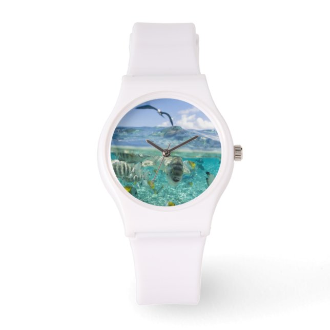 Lagoon safari-reis met Stingrays Horloge (Voorkant)