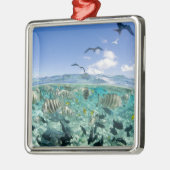 Lagoon safari-reis met Stingrays Metalen Ornament (Links)