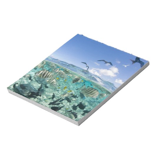 Lagoon safari-reis met Stingrays Notitieblok (Linkerzijde)