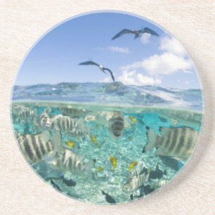 Lagoon safari-reis met Stingrays Zandsteen Onderzetter