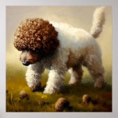 Lagotto Romagnolo Dog Poster (Voorkant)