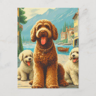 Lagotto Romagnolo Illustratie Briefkaart