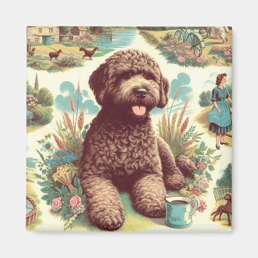 Lagotto Romagnolo Illustratie Magneet (Voorkant)