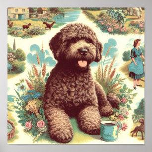  Lagotto Romagnolo Illustratie Poster