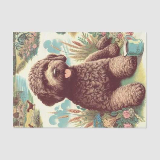  Lagotto Romagnolo Illustratie Tissuepapier (Voorkant)