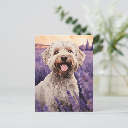 Lagotto Romagnolo in Lavendelveld Briefkaart (Staand voorkant)