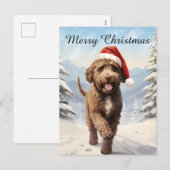 Lagotto Romagnolo Kerst Feestdagenkaart (Voorkant / Achterkant)