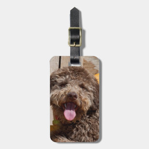 Lagotto Romagnolo Liggend Op Een Houten Bank Bagagelabel