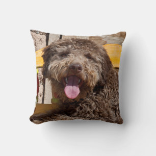 Lagotto Romagnolo Liggend Op Een Houten Bank Kussen