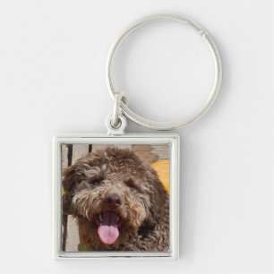 Lagotto Romagnolo Liggend Op Een Houten Bank Sleutelhanger