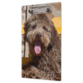 Lagotto Romagnolo op een houten bank Klembord (Links)