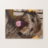 Lagotto Romagnolo op een houten bank Legpuzzel (Horizontaal)