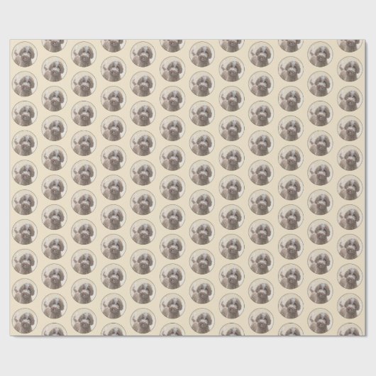 Lagotto Romagnolo Painting - Cute Original Dog Art Cadeaupapier (Vlak)