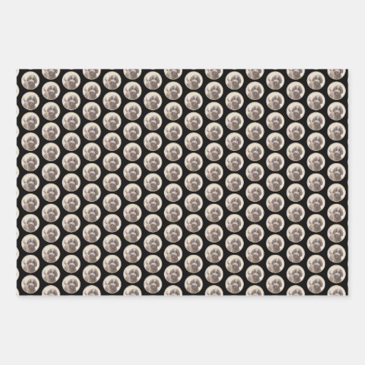 Lagotto Romagnolo Painting - Cute Original Dog Art Inpakpapier Vel (Voorkant 3)