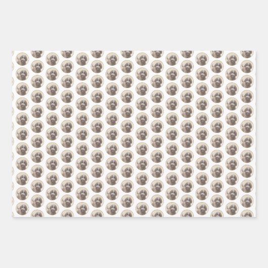 Lagotto Romagnolo Painting - Cute Original Dog Art Inpakpapier Vel (Voorkant 2)