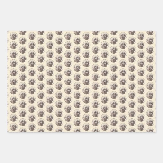 Lagotto Romagnolo Painting - Cute Original Dog Art Inpakpapier Vel (Voorkant)