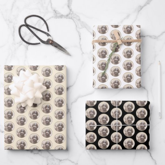 Lagotto Romagnolo Painting - Cute Original Dog Art Inpakpapier Vel (Voorkant)